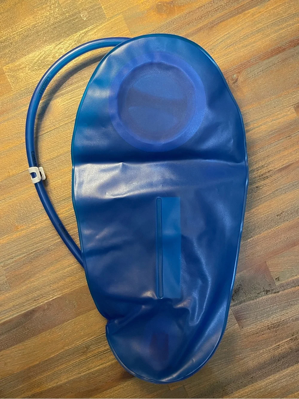 Camelbak Light Green Hydration Backpack with Blue Reservoir